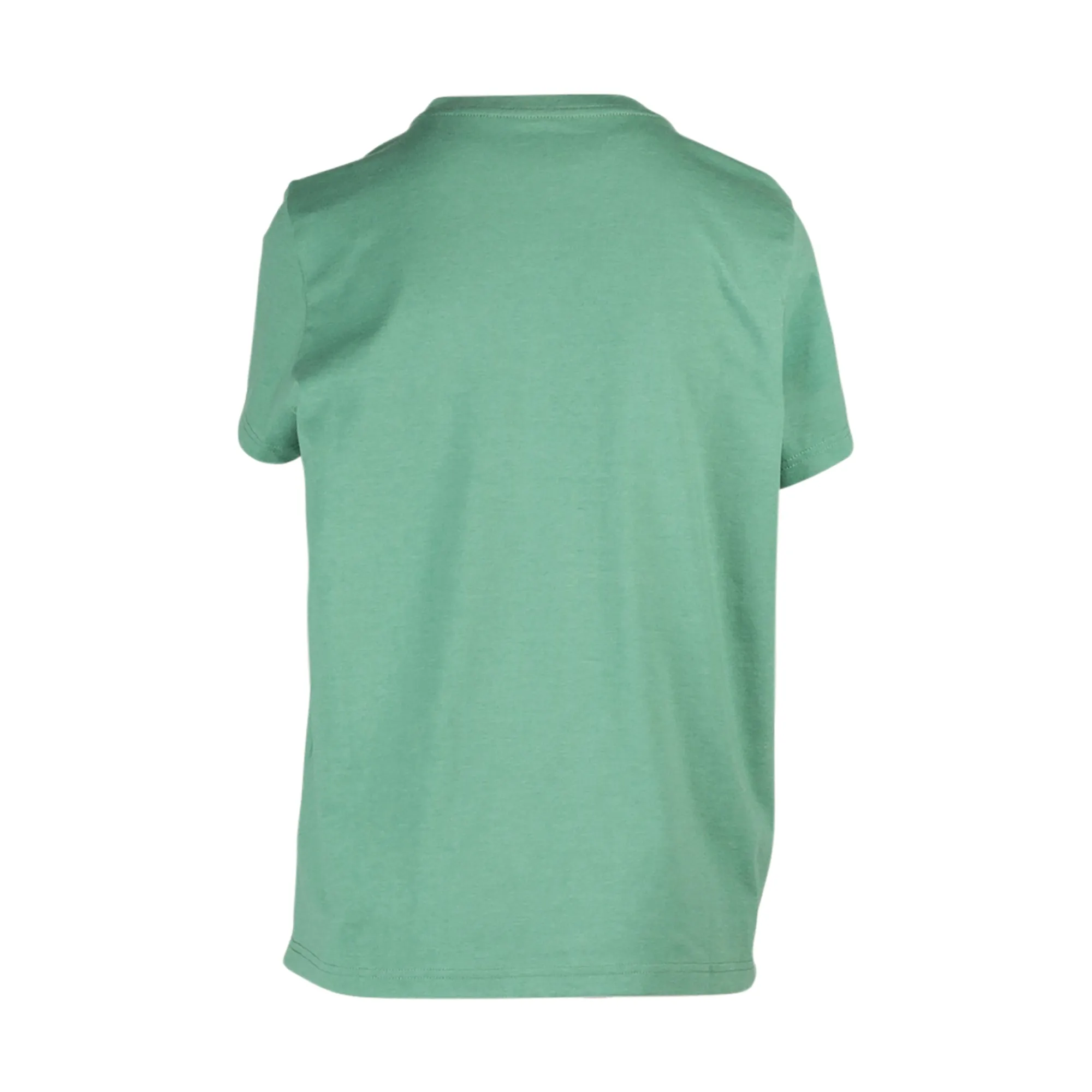 509 Womens Aspire T-Shirt Sage Green