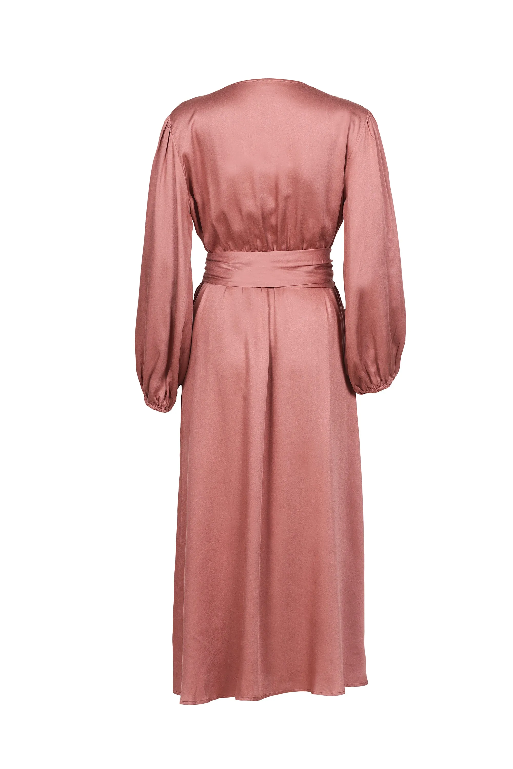 Venus TENCEL? Modal Vegan Silk Dress | Terra